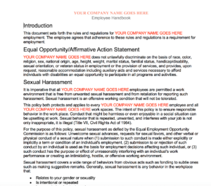 Amdecon Employee Handbook Template